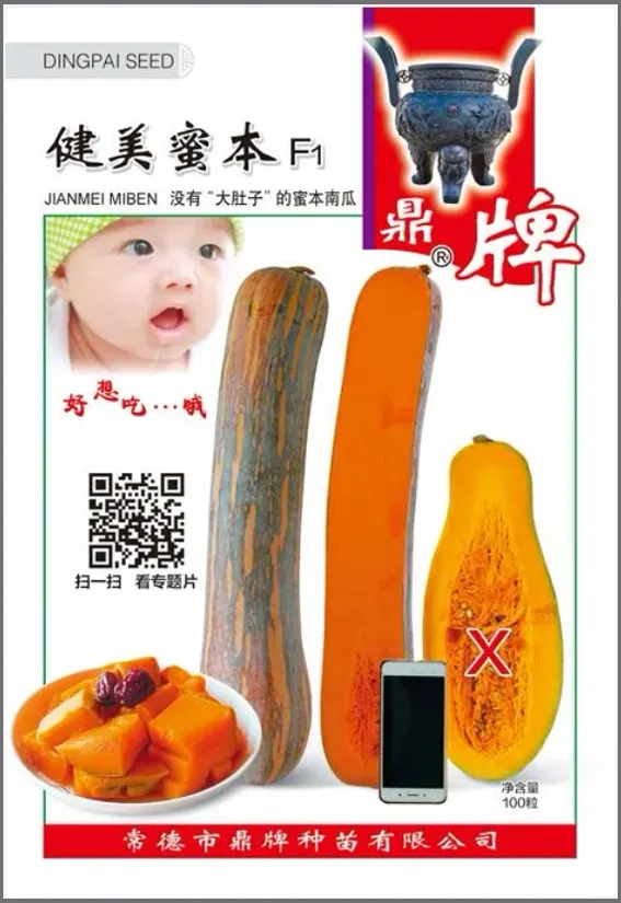 3元1斤的健美蜜本南瓜快成熟了，緬甸種植戶發(fā)來圖片與視頻