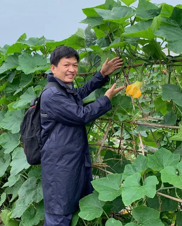 3元1斤的健美蜜本南瓜快成熟了，緬甸種植戶發(fā)來圖片與視頻