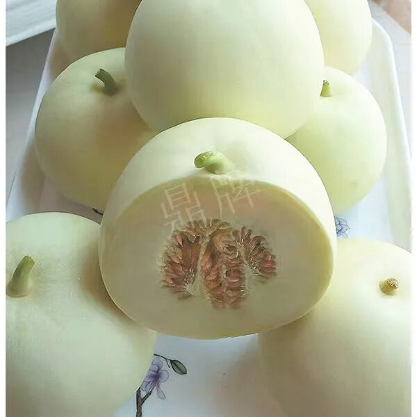 蔬菜種子種植戶種植心得-這個品種幫我留一些，4月份我們當(dāng)?shù)剡€要種一批